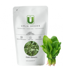 Spinach / Palak OP Urja Green 100 grams